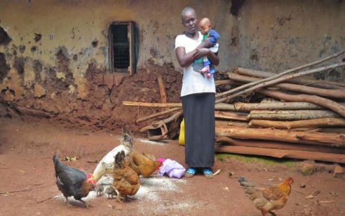 Esther started her own poultry business and earned enough income to purchase a goat for her family. She hopes to continue growing her business and buy a cow in the near future.